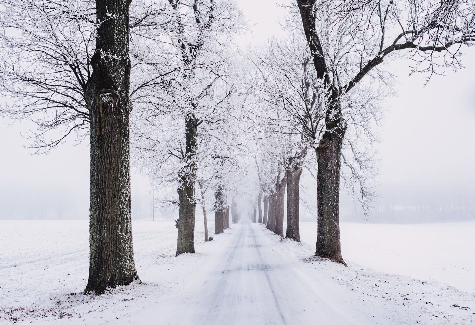 “Come Winter” (LP) by Kenneth Spond
