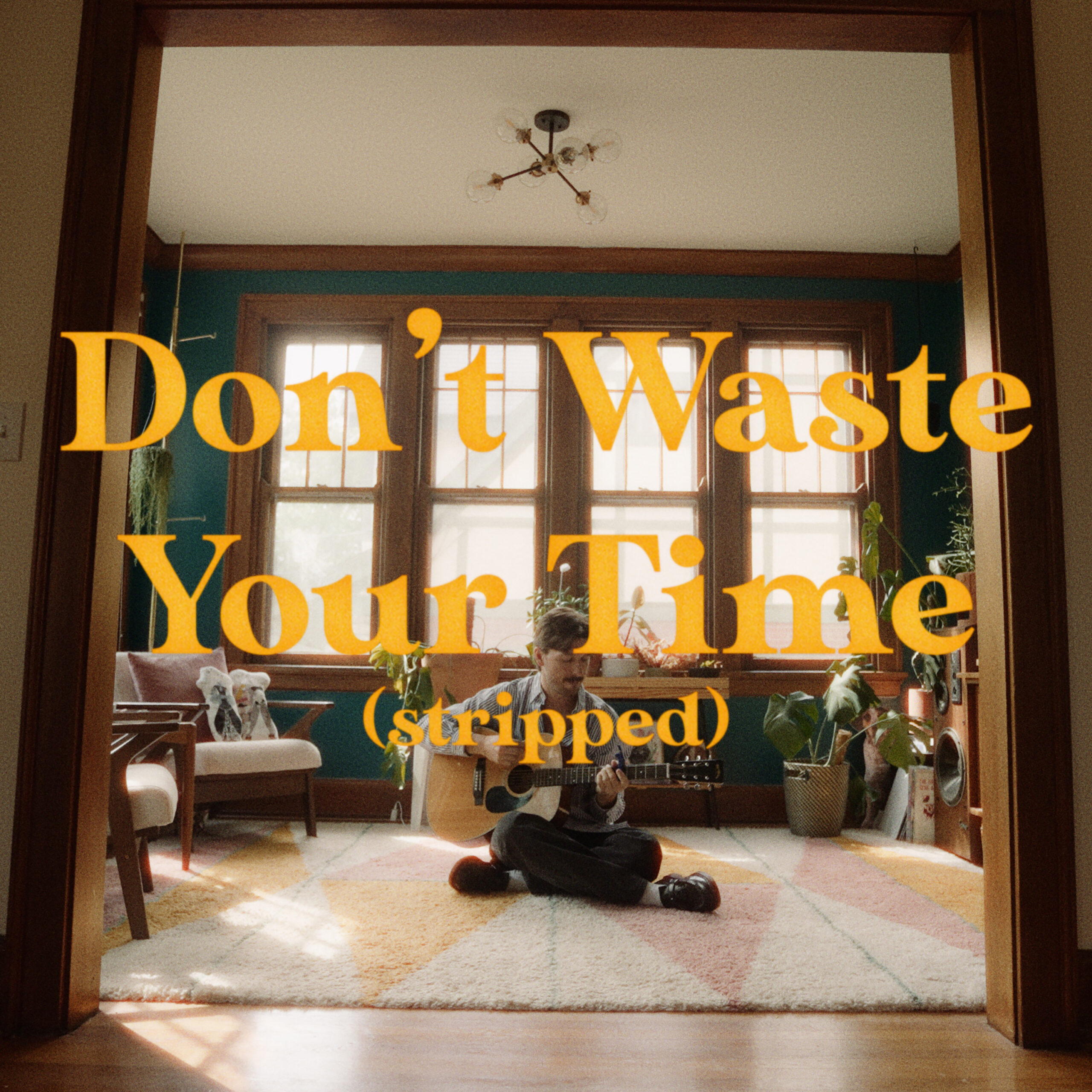 “Don’t Waste Your Time – Stripped” (Single) by Sean Waits